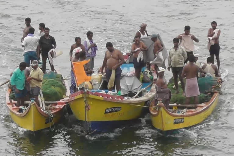 చేపలవేట నిషేద కాలం పై ప్రభుత్వ జీవో జారీ