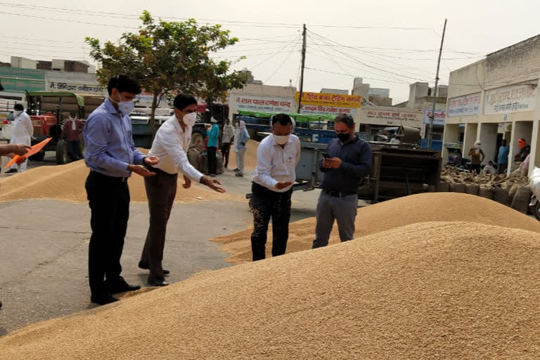 karnal grain market