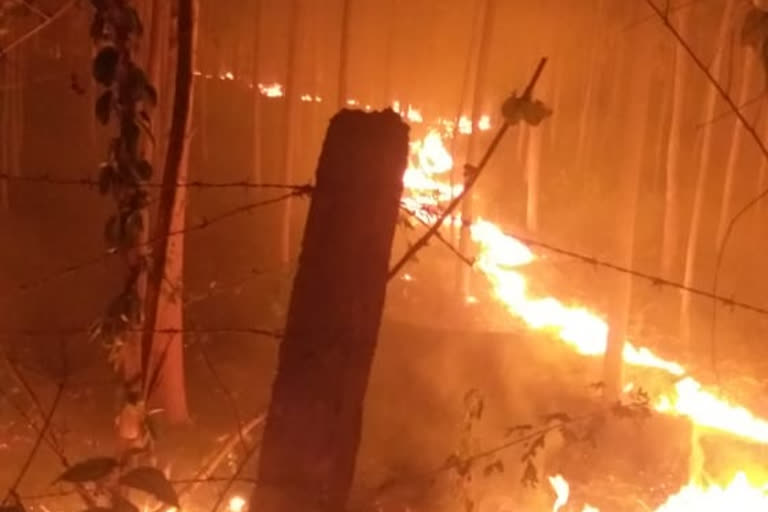 fires on yukaliptas garden at thegaada village vizag district