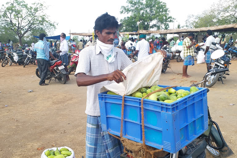 A construction worker who sells cucumbers for a living