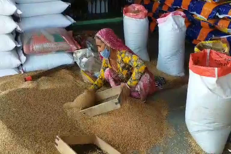 अजमेर न्यूज,  राशन सामग्री, ajmer news,  Ration materia