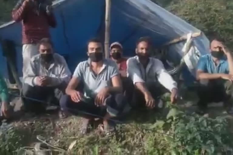 200 kashmiri labourers pleaded to send back home from DC Mandi, kashmiri labourers have been in the same place without work for 35 days