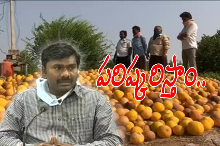 ananthapur collector reacts on bathai farmer problems