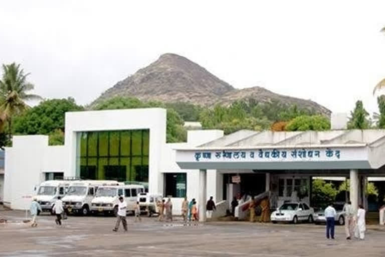 nurse dies in Krishna Hospital in karad