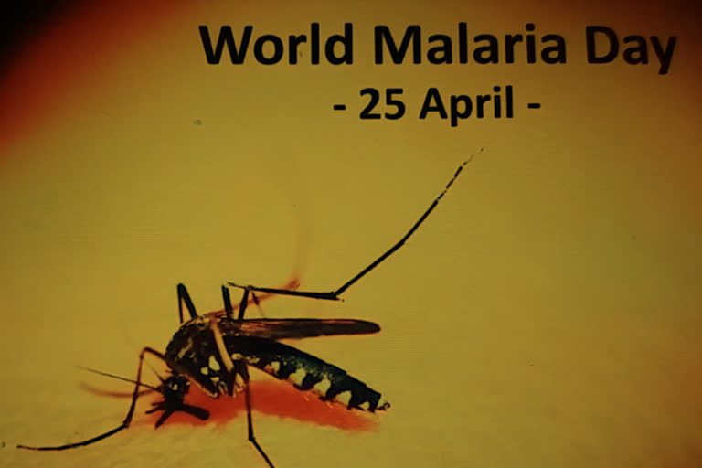 malaria day