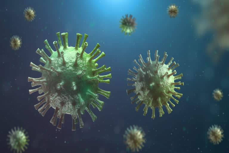 coronavirus