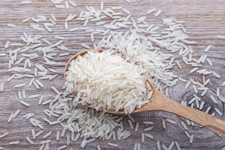 Rice