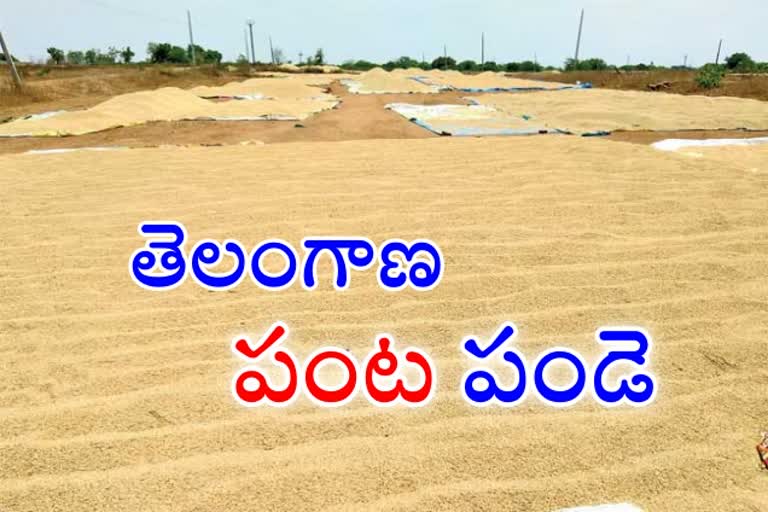 Increased food grain yields in telangana