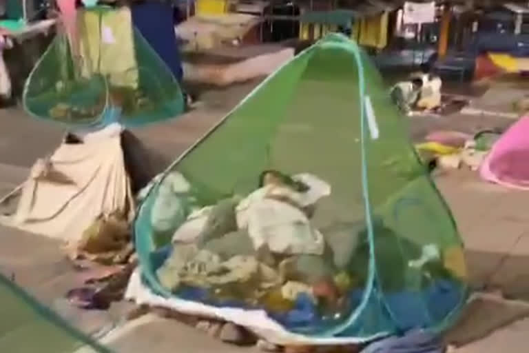 A teacher is distributing mosquito nets to poor and helpless people