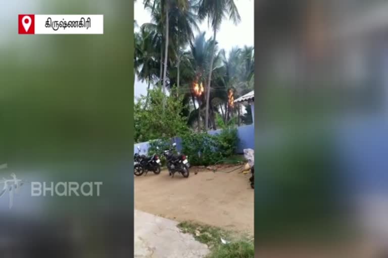 woman-dies-after-lightning-passes-in-krishnagiri