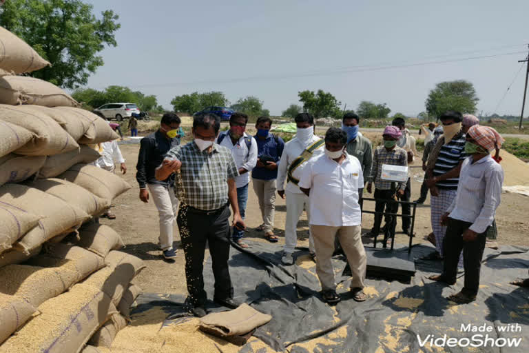 additional collector inspection  Grain buying centers in medak district