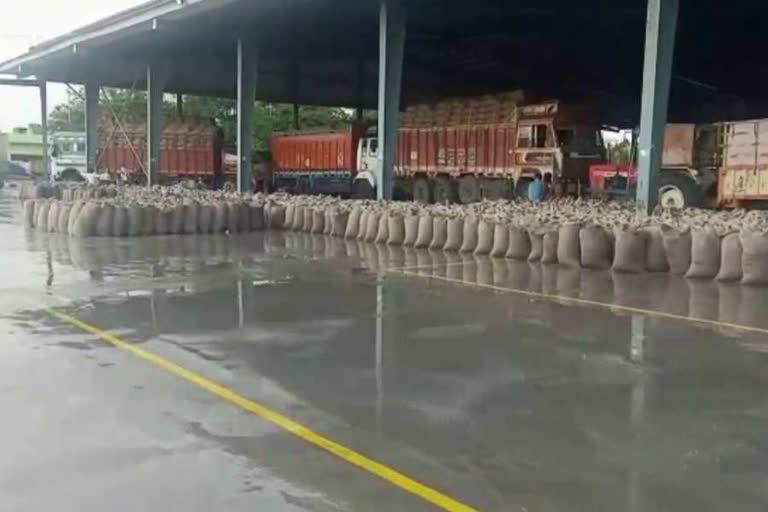 Wheat gets wet due to rain in rohtak anaj mandi