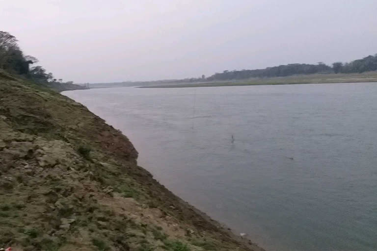 Ganges river clears more than before