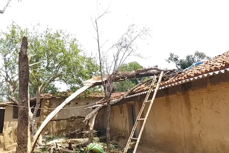 Many homes destroyed in Surajpur due to storm and rain