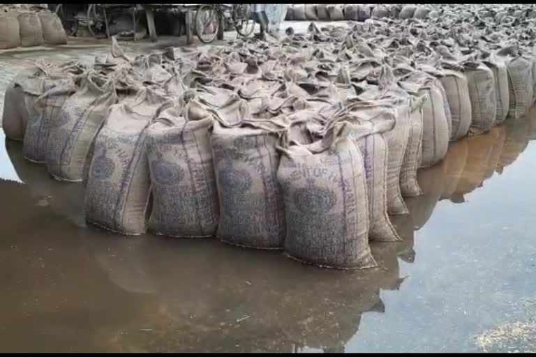 rain in kaithal grain market