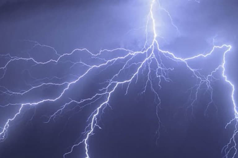 bihar lightning news  bihar casualties due to lightening  वीज पडून मृत्यू बिहार  बिहार लेटेस्ट न्युज