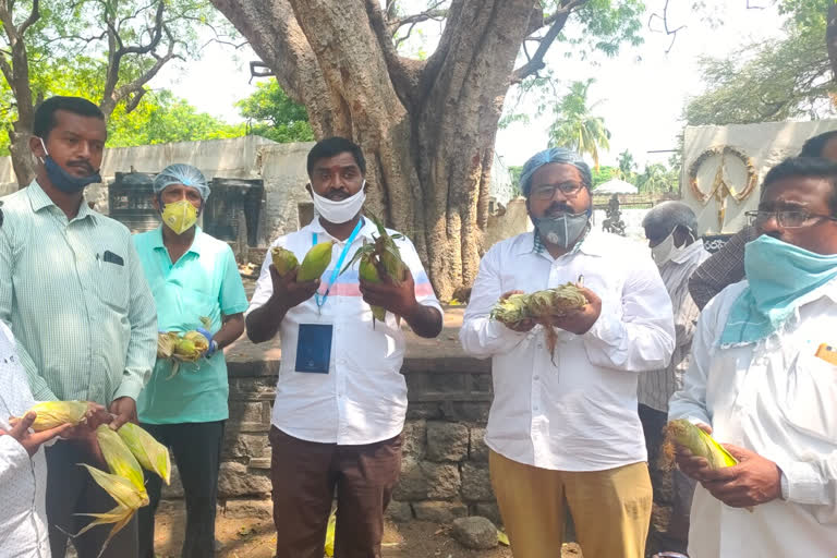 medicals agencies proprietors feeding the animals in yadagrigutta