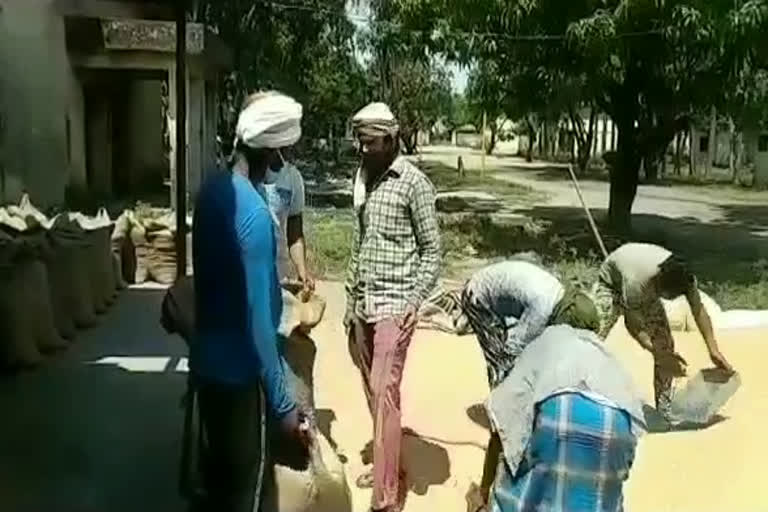 खटीमा लॉकडाउन का किसानों पर प्रभाव समाचार, wheat procurement center khatima news