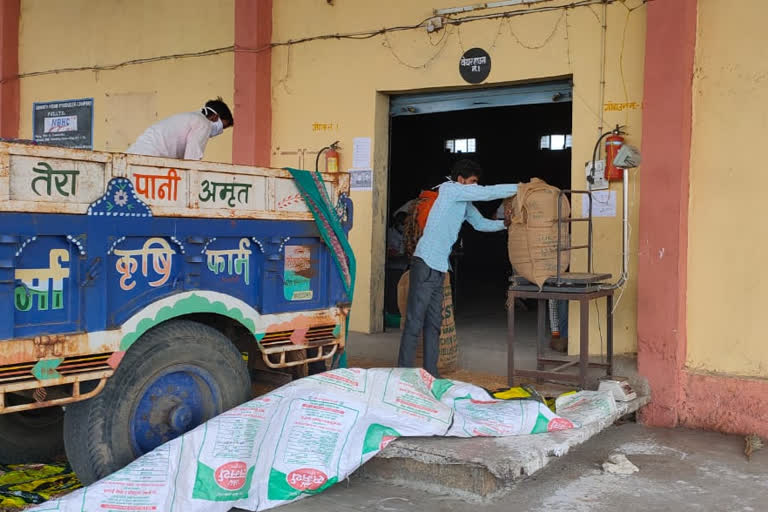 Work on procurement of wheat, gram and lentil crop started in agar