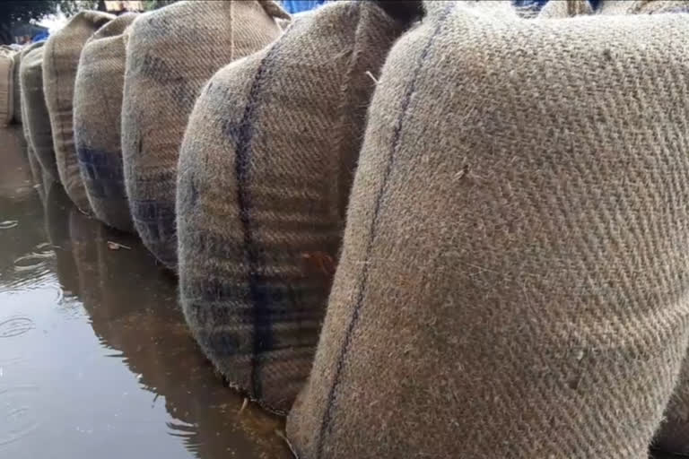 grain market of yamunanagar