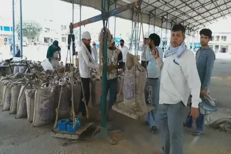 superintendent of police deepak gehlawat inspected UP-Haryana borders in palwal