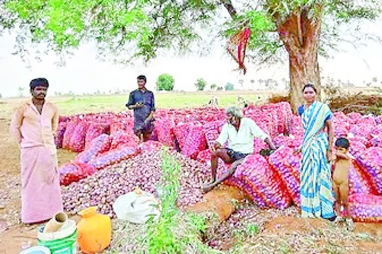 karnool district farmers difficulties