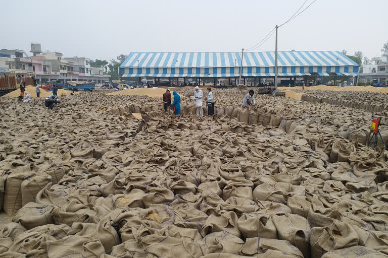 Farmers are facing problems in Gohana Grain Market