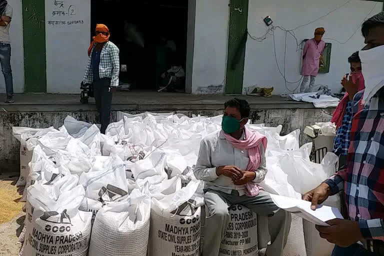 Farmers returning from Tikamgarh procurement center