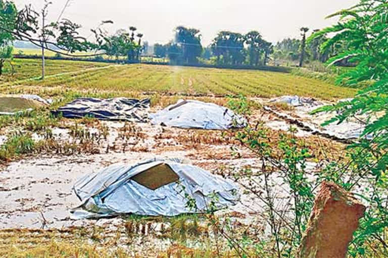 farmers facing problems in bhadradri