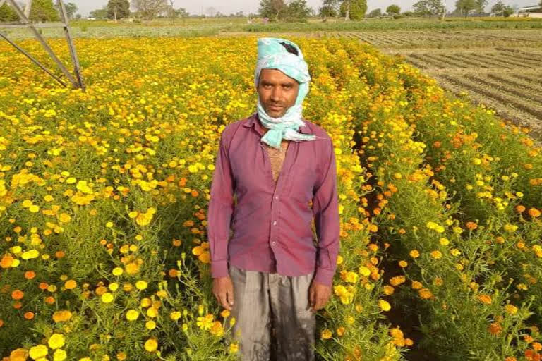 farmers suffered from loss