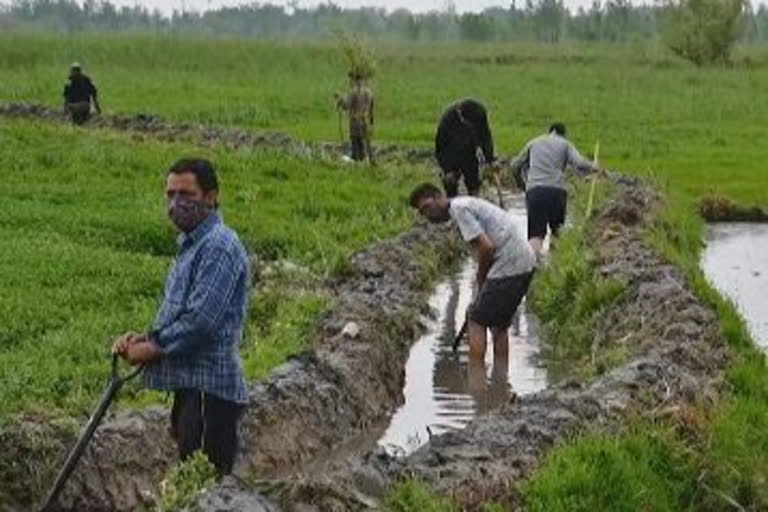 گاندربل میں منریگا کی سرگرمیاں دوبارہ شروع