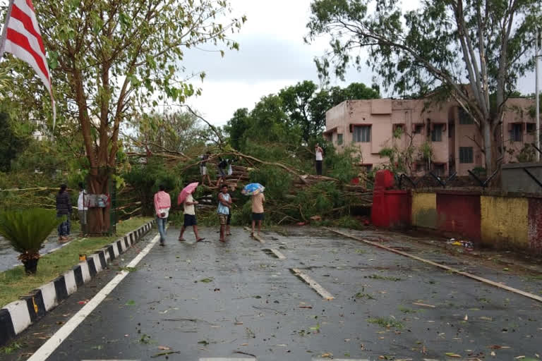 कुछ देर की आंधी-बारिश ने रांची का हाल किया बेहाल, सड़कों पर बहने लगी नालियां, तो गिरे कई पेड़