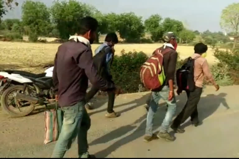 The batch of workers arrived on foot from Gujarat