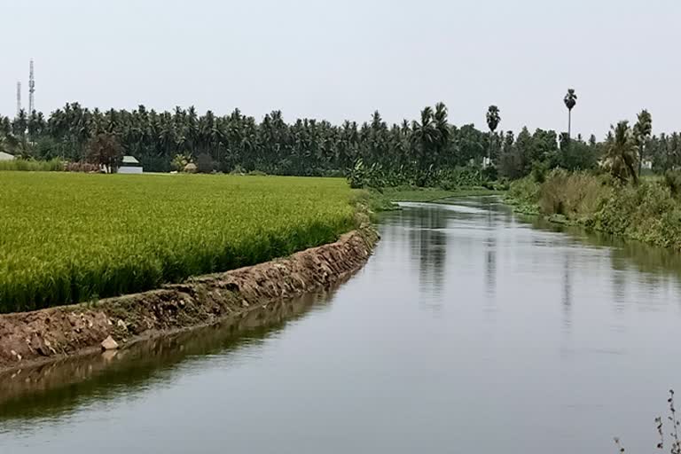 சுத்தமான கால்வாய்