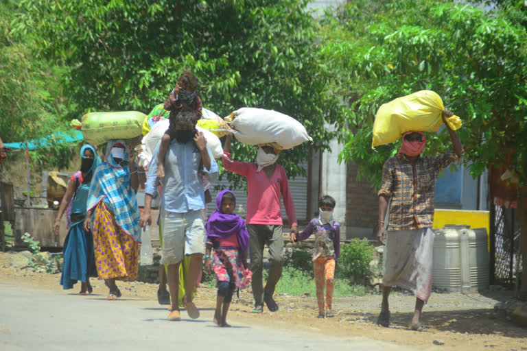 workers shown walking from Kota to Ratlam