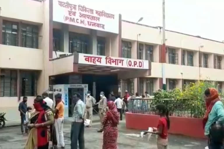 Dog bite cases are increasing in PMCH in dhanbad