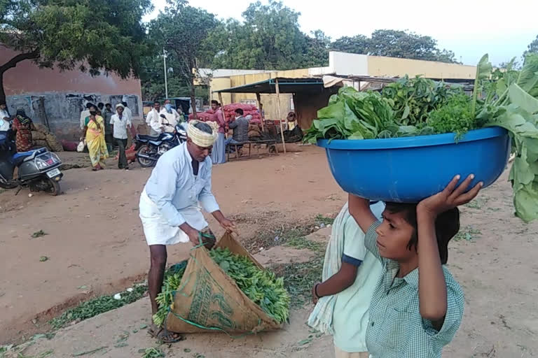 Farmers in struggle who are coming to sell vegetables