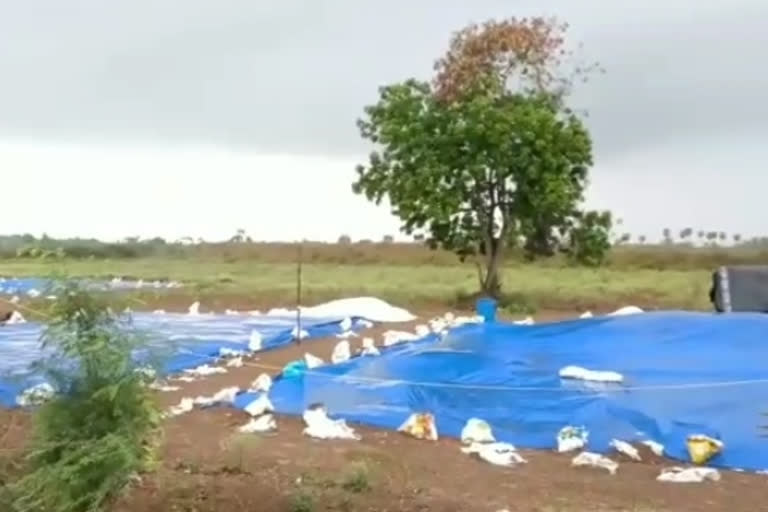 rains in ongle prakasham