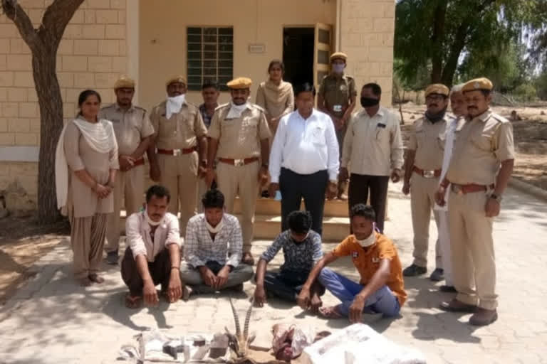 Jaisalmer news, Chinkara hunting case, accused arrested