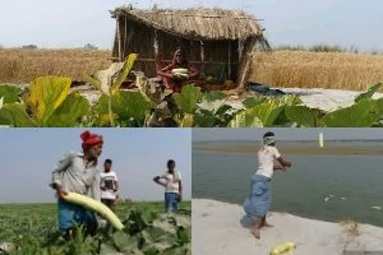 Farmers disposing vegetables