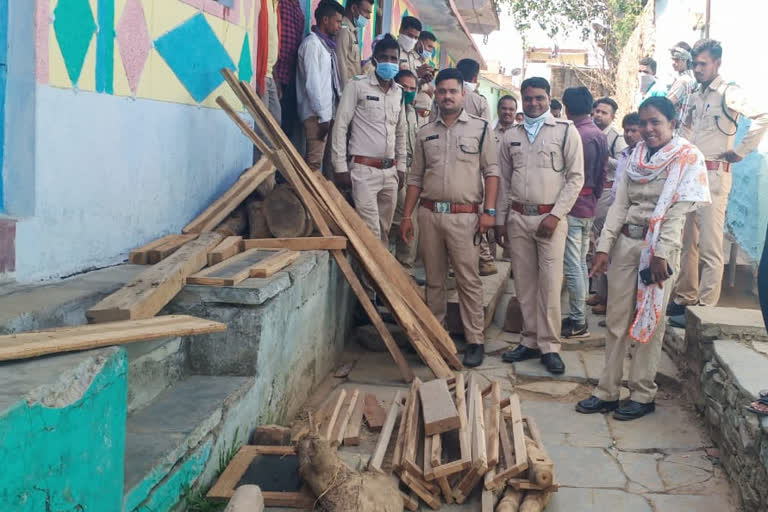 balodabazar wood smuggling