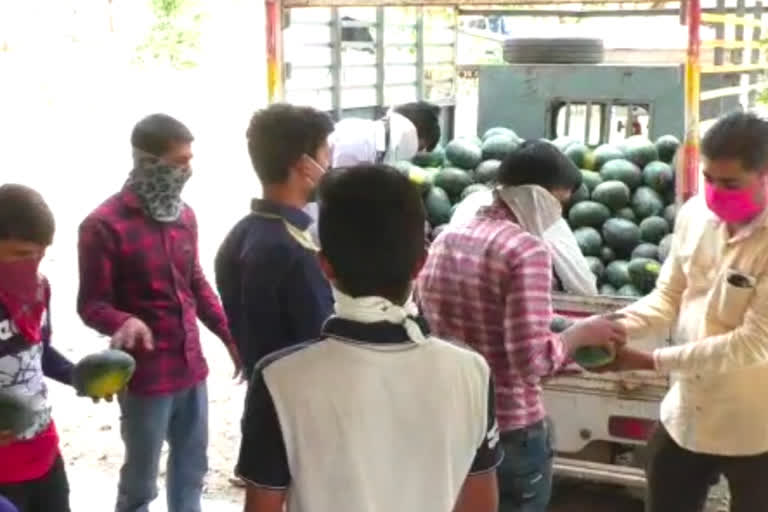 parent in Ahmednagar gave gift of 1 ton watermelon on occasion of his child's birthday