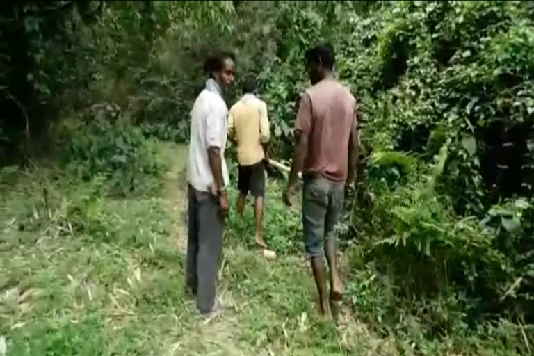 animal-attack-in-golaghat