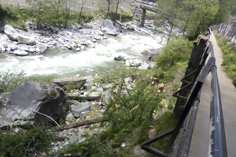 trees cut in manali illegally