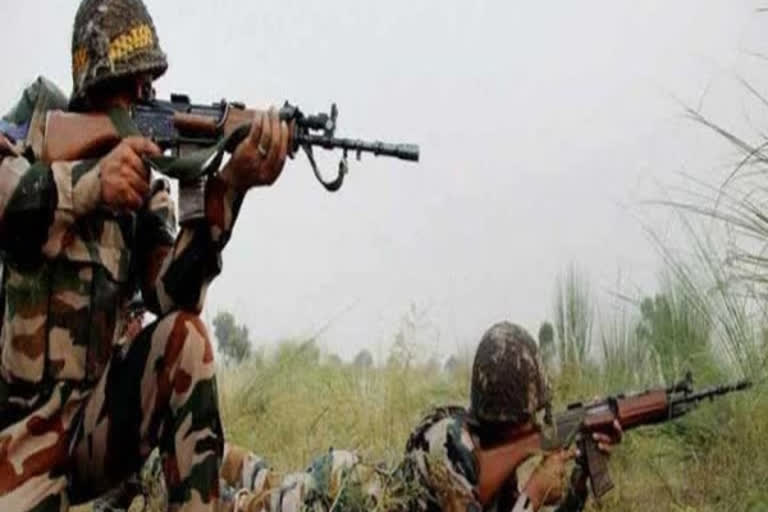 Two militants killed in overnight operation in J-K's Shopian district