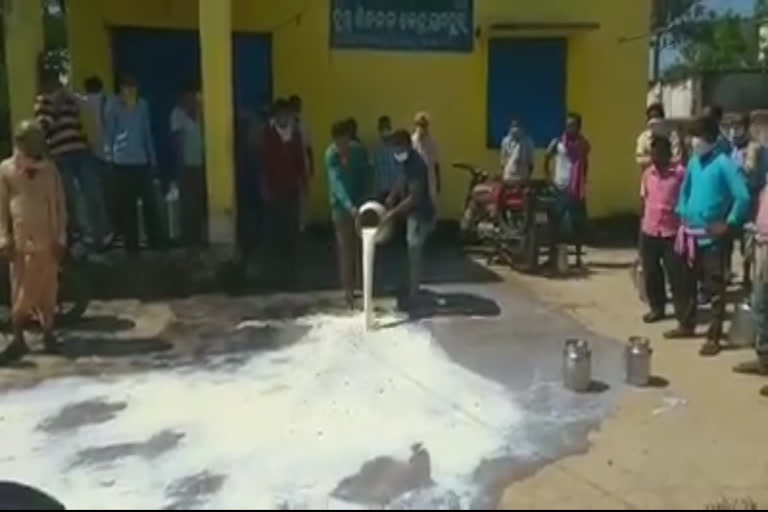 Dairy farmers protest in subarnapur