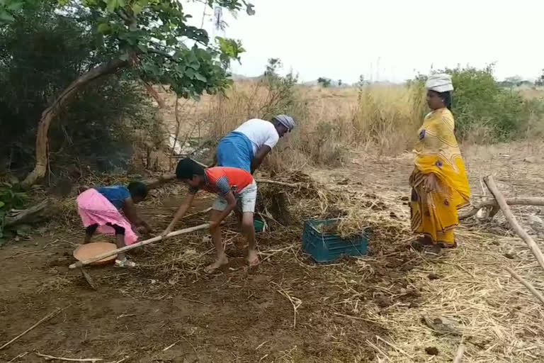 ఓ వైపు కరోనా భయం.. మరోవైపు ఖరీఫ్​ సేద్యం