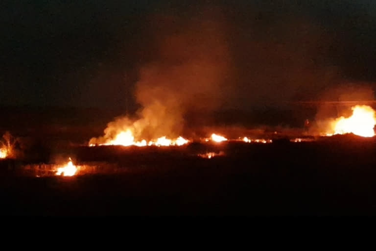 Even after the ban, farmers are setting fire in the field