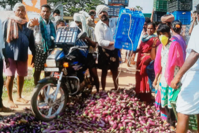 visakha bringel farmers