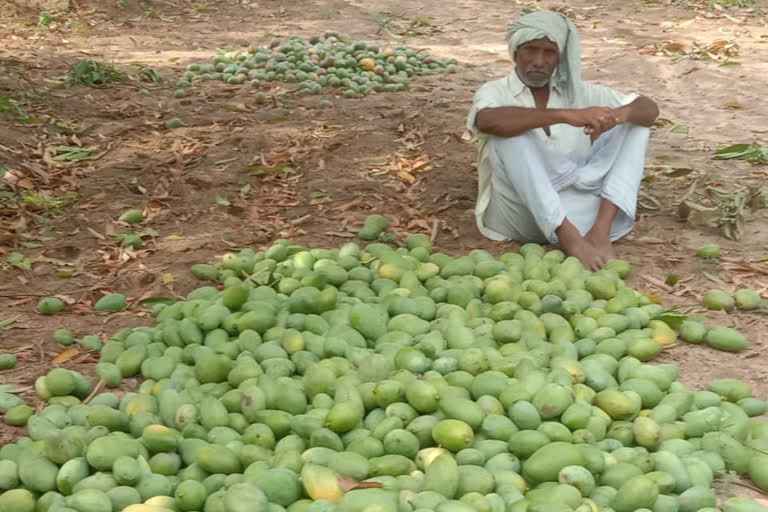 havy rains in kadapa